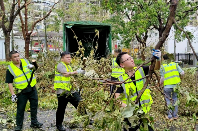 网站3.png 网站3.png